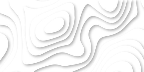 Wall Mural - abstract luxury diamond creative topography map background vector natural shadow papercut web topogr