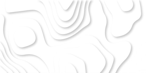 Wall Mural - abstract luxury diamond creative topography map background vector natural shadow papercut web topogr