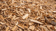 © Tanakorn - Pile of wood chip for biofuel renewable energy from forest waste management. This biomass material not for food but for sustainable heat and power production