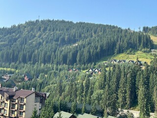 Wall Mural - picturesque view of buildings and trees in beautiful mountains
