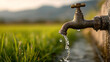 © CinimaticWorks - tap releasing water onto green field symbolizing importance of water conservation sustainable irrigation agriculture natural resources and healthy plant environment