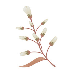Wall Mural - Branch with flowers irga and leaves on a white background..eps