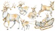 © Yevheniia - Watercolor deer and sleigh illustration with festive bells