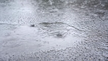 Wall Mural - Raindrops continuously fall and form expanding puddles on an asphalt surface, showing the wet transformation in a detailed timelapse motion, urban, environment
