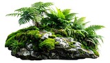Lush rock outcrop covered in moss and ferns