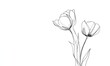 © Agung - Elegant line drawing of two tulips