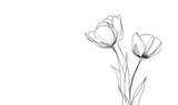 Elegant line drawing of two tulips