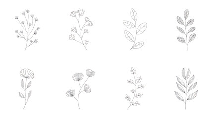 Collection of elegant botanical elements detailed line art on black for artistic designs isolated on transparent background