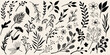 © Tarun - Collection of hand drawn black botanical elements and flowers on a cream background