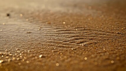 Wall Mural - Captivating slow motion detail of water receding from wet sand, creating intricate patterns motion, slow motion, close up