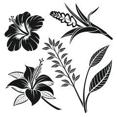 black and white silhouettes of flowers set