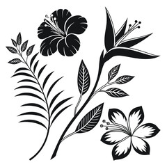 black and white silhouettes of flowers set