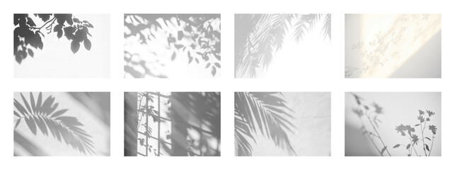 PNG Abstract nature shadows on wall, element set on transparent background