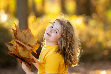 Wall Mural - Child portrait in autumn fall park. Little child hold autumn fall leaves, outdoor portrait. Cute child face with autumn leaves in autumn park. Child hold falling leaves. Outdoor portrait of kids.