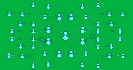 Wall Mural - Network nodes connecting via dotted lines on transparent backdrop using neon hexagonal user icons
