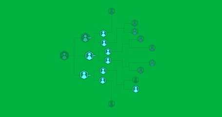 Wall Mural - Displaying glowing cyan hexagon user icons connecting by branching neon lines on clear background