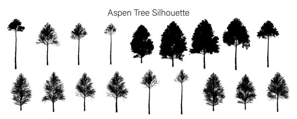 Silhouette of various aspen trees in different shapes and sizes displayed in two rows on a white background