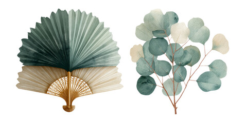 Elegant Isolated Illustration of Fan and Eucalyptus Branch on Transparent Background