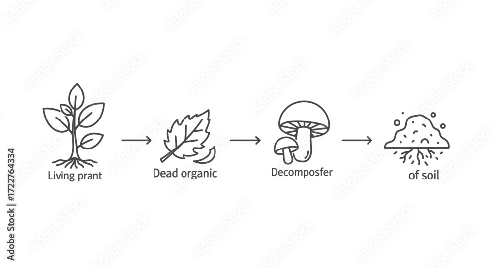 Ecological diagram illustrating the natural decomposition process from ...