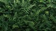 © diki - A vibrant tapestry of lush fern fronds, showcasing a rich array of deep green hues and intricate leaf details.