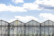 © NastyaPhoto - Greenhouse industrial exterior. Food farming industry with giant buildings. closeup of modern greenhouse complex against blue sky.