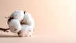 © Gaming - Close-up cotton boll on beige background