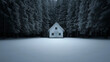 © Nick Freund - Einsames weißes Haus im verschneiten Wald bei Winterlandschaft
