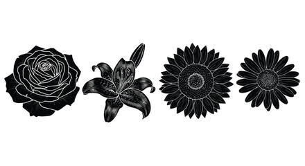 Collection of detailed black and white botanical line art flower silhouettes for design elements vector
