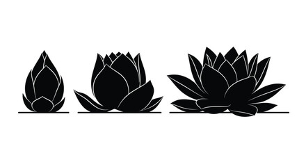 Lotus flower growth stages isolated black silhouette botanical element for design vector