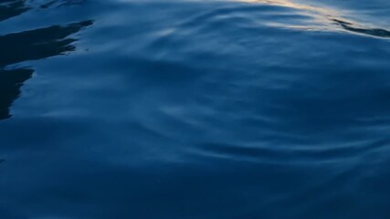 Wall Mural - Hypnotic Abstract Water Surface with Subtle Ripples and Reflections Under Soft, Diffused Lighting, Shot with a Top-Down Perspective minimal, fluid, modern