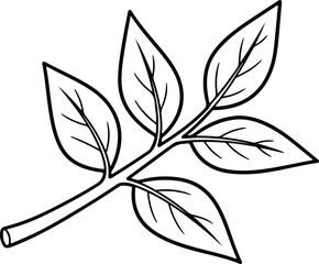 vector ash tree branch with leaves outline black silhouette design