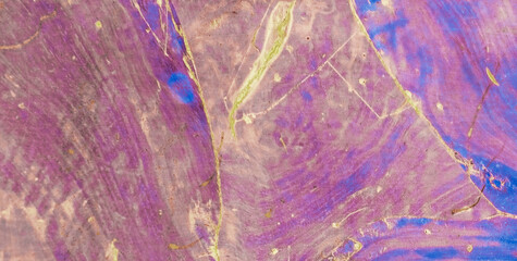 Wall Mural - A Backdrop of Vibrant Colors, Texture, and Gold Elements
