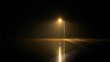 © dar - Foggy night, lone lamppost reflects on flooded road