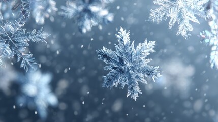 Wall Mural - beautiful winter snowflakes decoration merry christmas holiday season celebration greeting