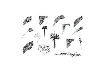 Wall Mural - Hand drawn abstract vector graphic illustration collection with stylized line tropical palm leaves frames and borders design set .Trendy modern exotic sketch concept.Vector line nature sketch symbol.