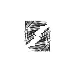 Wall Mural - Hand drawn abstract vector graphic illustration collection with stylized line tropical palm leaves frames and borders design template.Trendy modern exotic sketch concept.Vector nature sketch symbol.