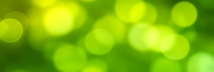 Wall Mural - Soft and Blurred Spring Light Green Background with Bokeh Dots and Sunbeams for Design Elements
