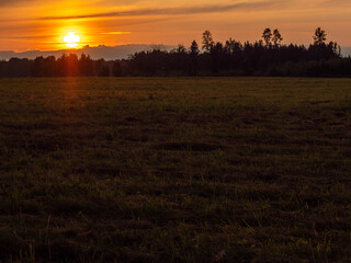 Wall Mural - A field of grass with a sun setting in the background. The sun is setting behind a forest. Warm orange sky. Nobody. Nature scene in a country side. Rural area.