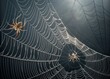 © Shobi - Halloween Spider Web Scene poster – Two Spiders on Intricate Radial Web with Dark Background banner