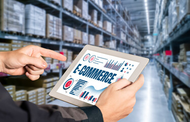 Wall Mural - E-commerce data software provide modish dashboard for sale analysis to the online retail business