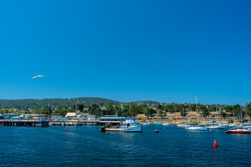 Wall Mural - Monterey Bay, California with boats in marina