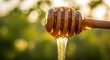 © Perintis - Honey dripping from a wooden dipper against a blurred natural background, showcasing the amber hue and smooth texture.