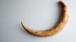 © wahyu - A traditional shofar with a curved shape, space for text on the right, set against a white surface
