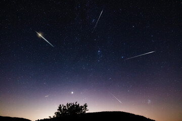 Wall Mural - Milky way stars, meteor trails and landscape silhouettes.