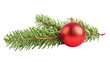 © Aklima - Red bauble on fir branch isolated on a transparent background