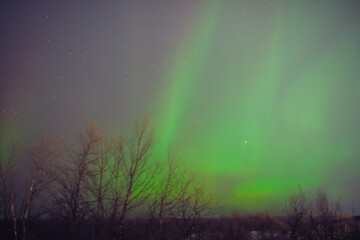 Wall Mural - Aurora borealis, polar lights with Milky Way stars.