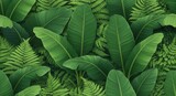 Lush green botanical illustration featuring banana leaves and fern fronds creating a dense jungle