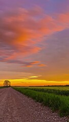 Wall Mural - Colorful Sunset Over Fields And Dirt Road With Moving Clouds - Timelapse, Vertical Shot