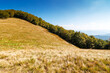 © Pellinni - calm autumn day in carpathian mountains. deciduous trees on the grassy hills of krasna ridge. sunny scenery of transcarpathia in fall season under blue sky with clouds. beauty in nature concept