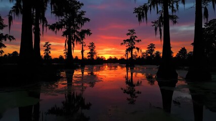 Wall Mural - Dramatic swamp sunset timelapse showing vibrant colors and long shadows cast by trees over murky water long shadows, dramatic swamp sunset, wetlands